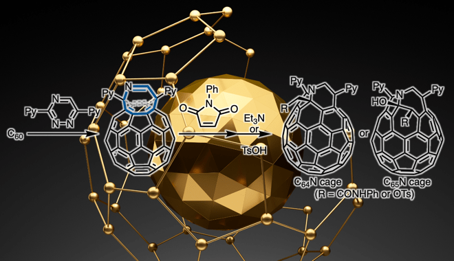 フラーレン〜ケージを拡張、時々、内包〜 - Lab BRAINS