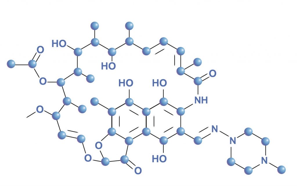 リファンピシンの雄牛