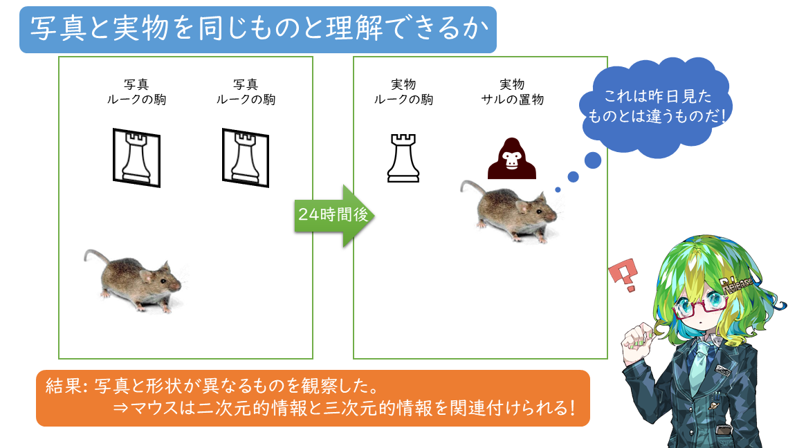 手に持つとしっくり来るという表現がピッタリの写真よりも実物の方が鼠色っぽ鶴首壷 手に持つとしっくり来るという表現がピッタリの写真よりも実物の
