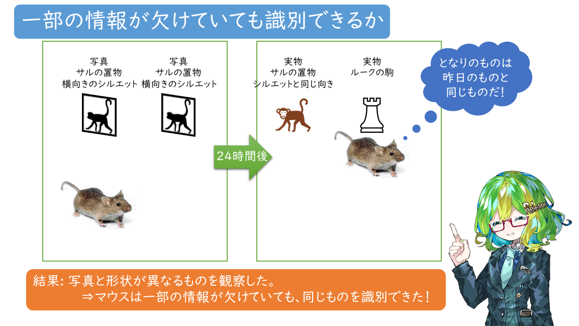 マウスは写真と実物を見分けられると判明！高度な関連付け能力もあるよ