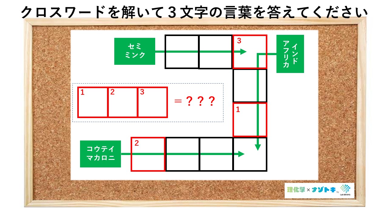 知識×ヒラメキクイズ】今回の謎はクロスワード！セミ、ミンクや