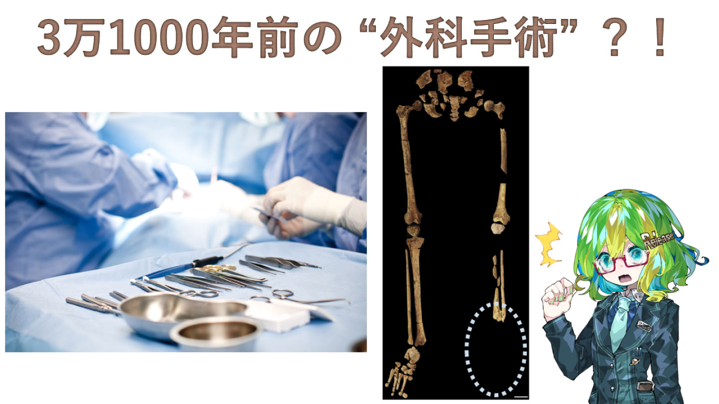 7b4c8494022c40ebbca80bff6fb46b  