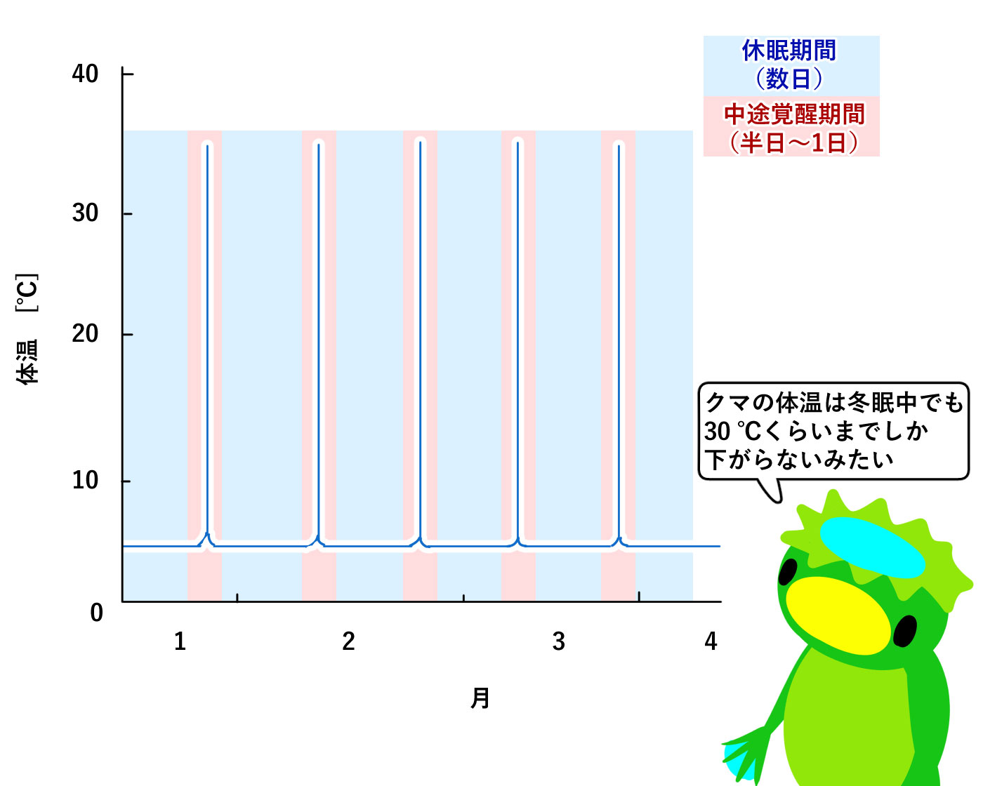 春までお休みなさい……ZZZ 冬眠の秘密に迫る！ - Lab BRAINS