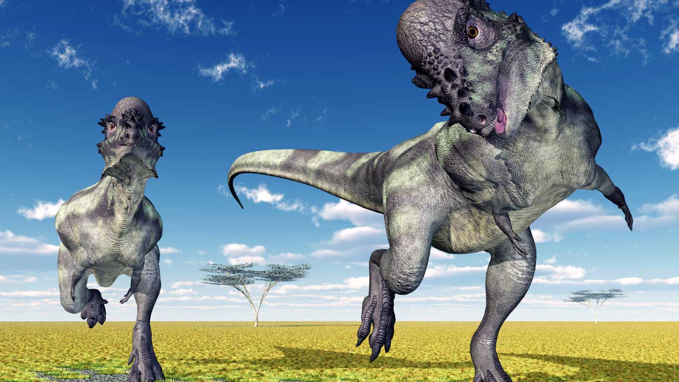 パキケファロサウルスたち堅頭竜類は頭突きをしていたの？「石頭」の