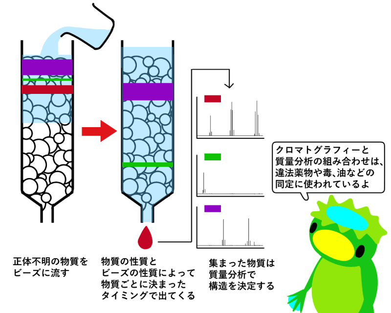 犯罪捜査場面における虚偽検出検査の研究 GKT検出理論への記憶と不安からのアプ… 隠れた真実を暴き出せ！ 犯罪捜査を科学する！ - Lab BRAINS