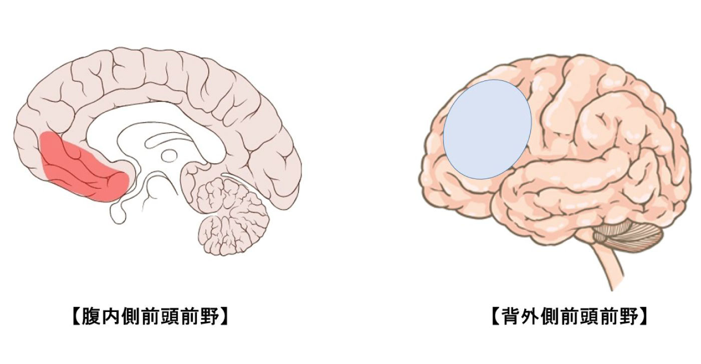 原理主義の脳科学 - Lab BRAINS