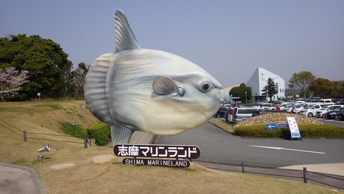 志摩マリンランドとマンボウの想い出 - Lab BRAINS