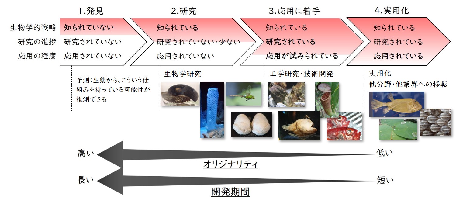 バイオミメティクス・エコミメティクス 持続可能な循環型社会へ導く技術革新のヒント/シ-エムシ-出版/下村政嗣（単行本） 生物を模倣し製品づくり バイオミメティクスの技術革新で地球