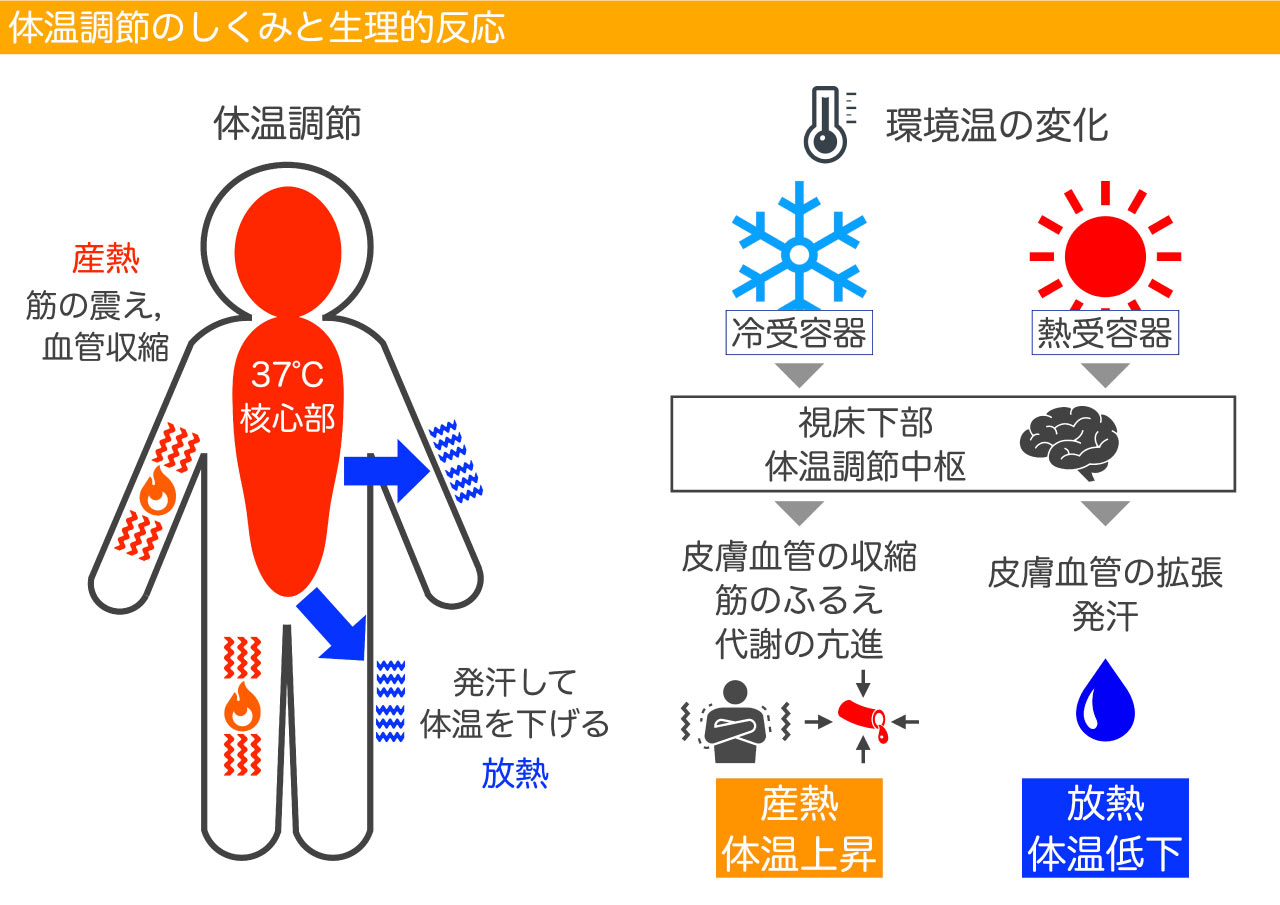 熱中症予防の基礎知識とは？ 対策を取って酷暑を乗り切りましょう