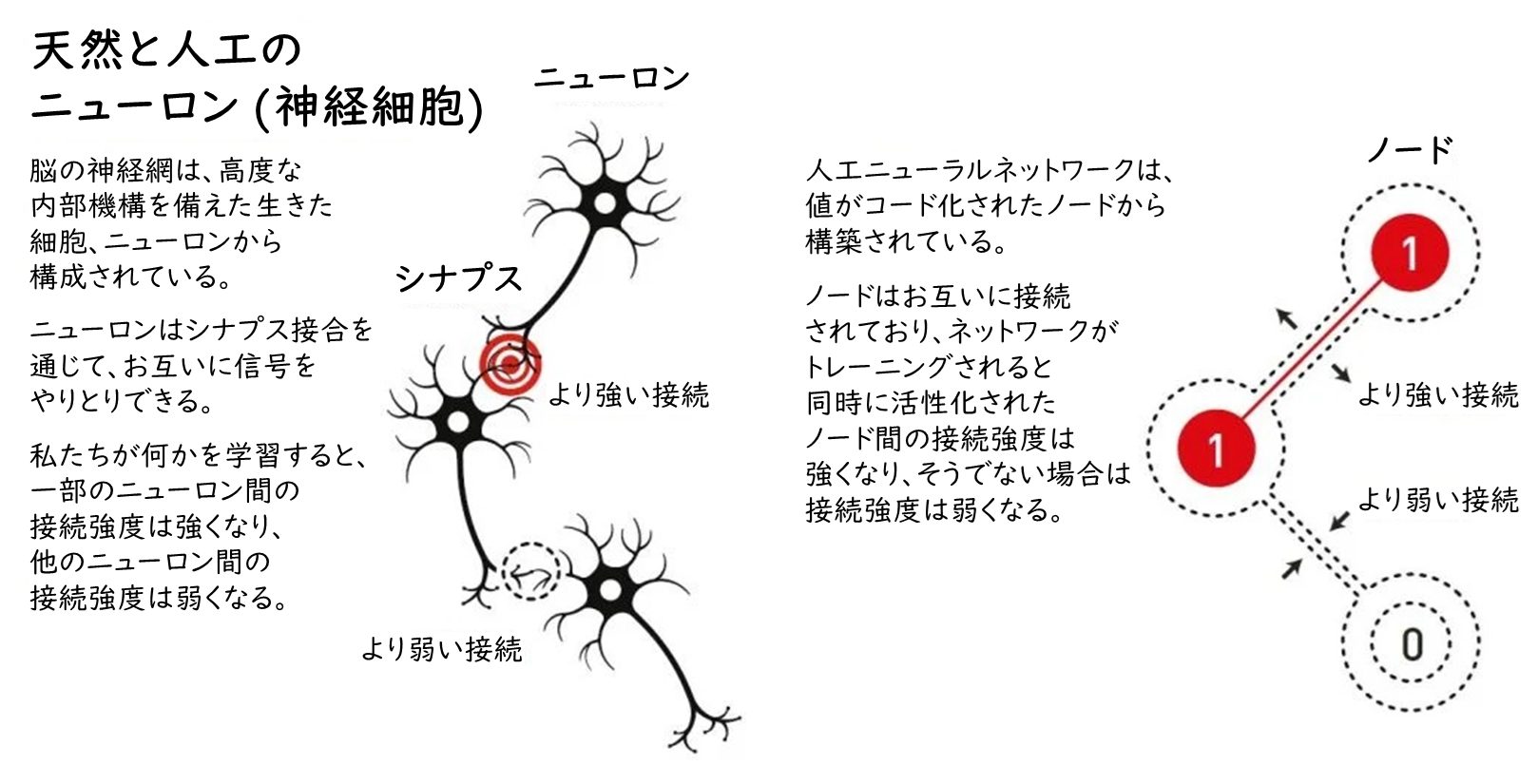 2024年ノーベル物理学賞について分かりやすく解説！『人工ニューラル