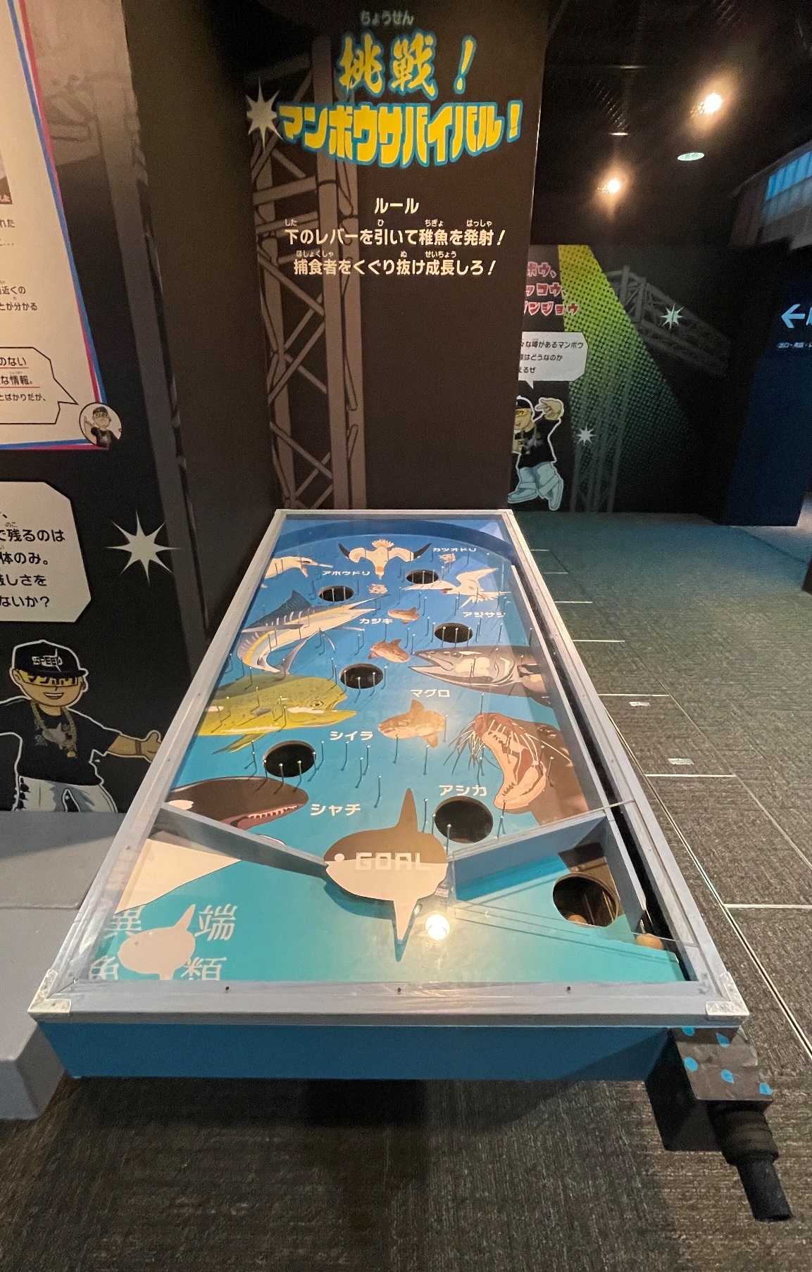 海響館の企画展「真・マンボウ展～マンボウにカンドウ～」を記録 - Lab