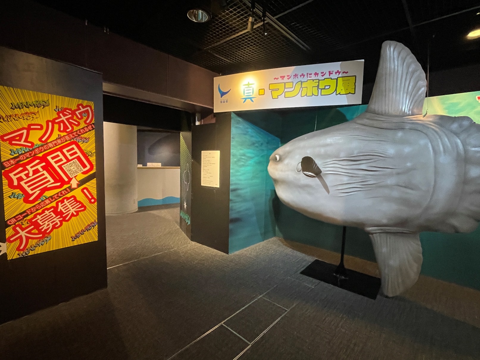 海響館の企画展「真・マンボウ展～マンボウにカンドウ～」を記録 - Lab