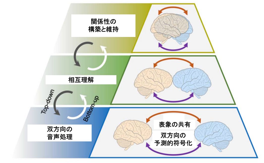 コミュニケーション能力の脳科学：心と心を通じ合わせる力はどこにある