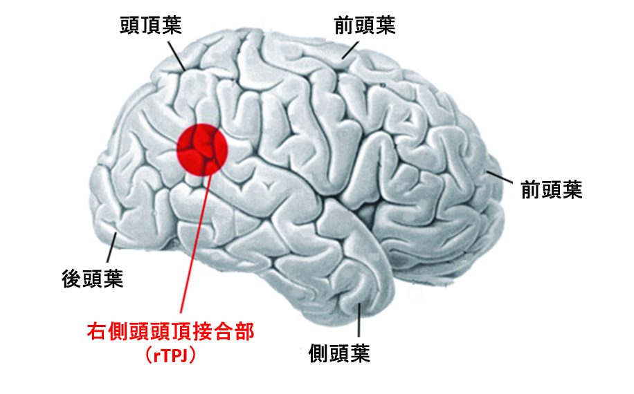 コミュニケーション能力の脳科学：心と心を通じ合わせる力はどこにある