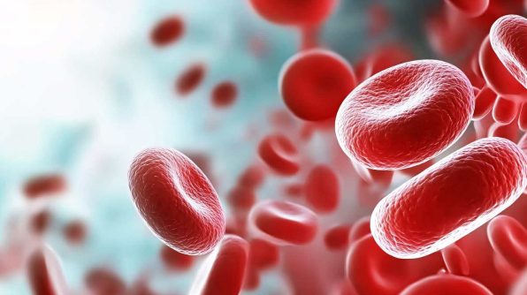 ヒトの一生でおこる造血幹細胞の変化（12月5日 Nature Medicine