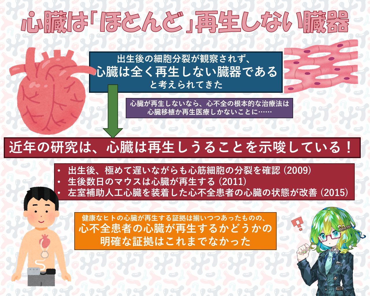 補助人工心臓」は、心不全後の心臓の再生を促すかもしれない！？ - Lab