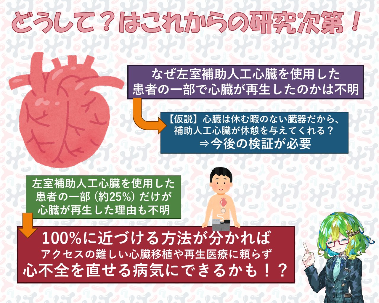 補助人工心臓」は、心不全後の心臓の再生を促すかもしれない！？ - Lab