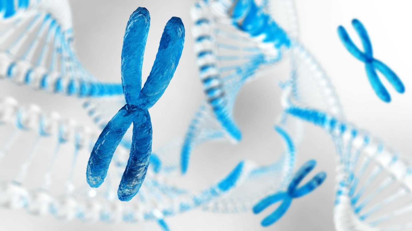 X染色体不活化が片方だけで起こるメカニズム（1月16日 Cell オンライン
