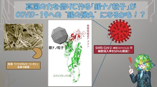 ecda8c3250d49aa8faaa94f8f51bc2