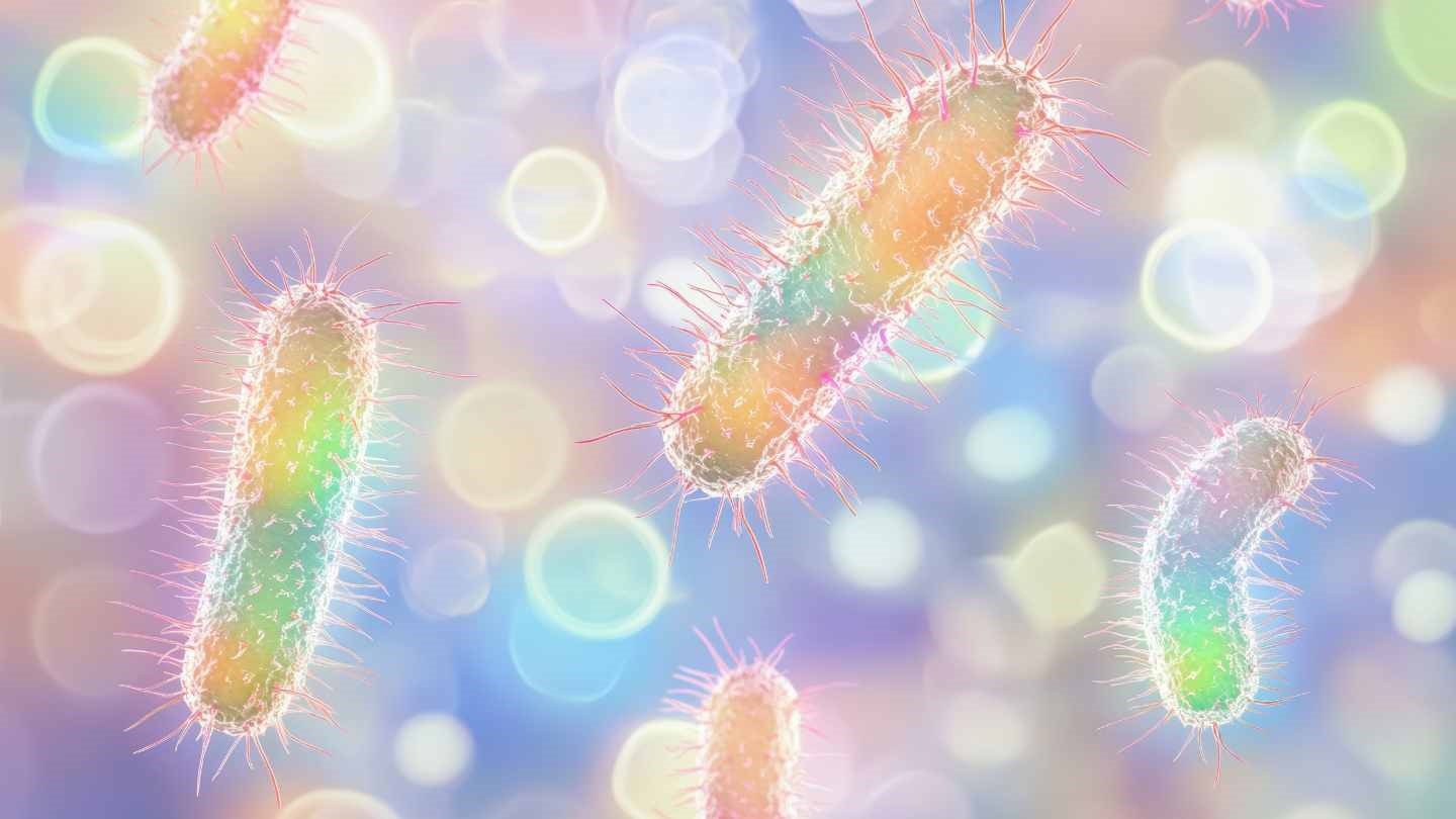 免疫系と神経系の協調が必要な寄生虫免疫（7月17日 Science 掲載