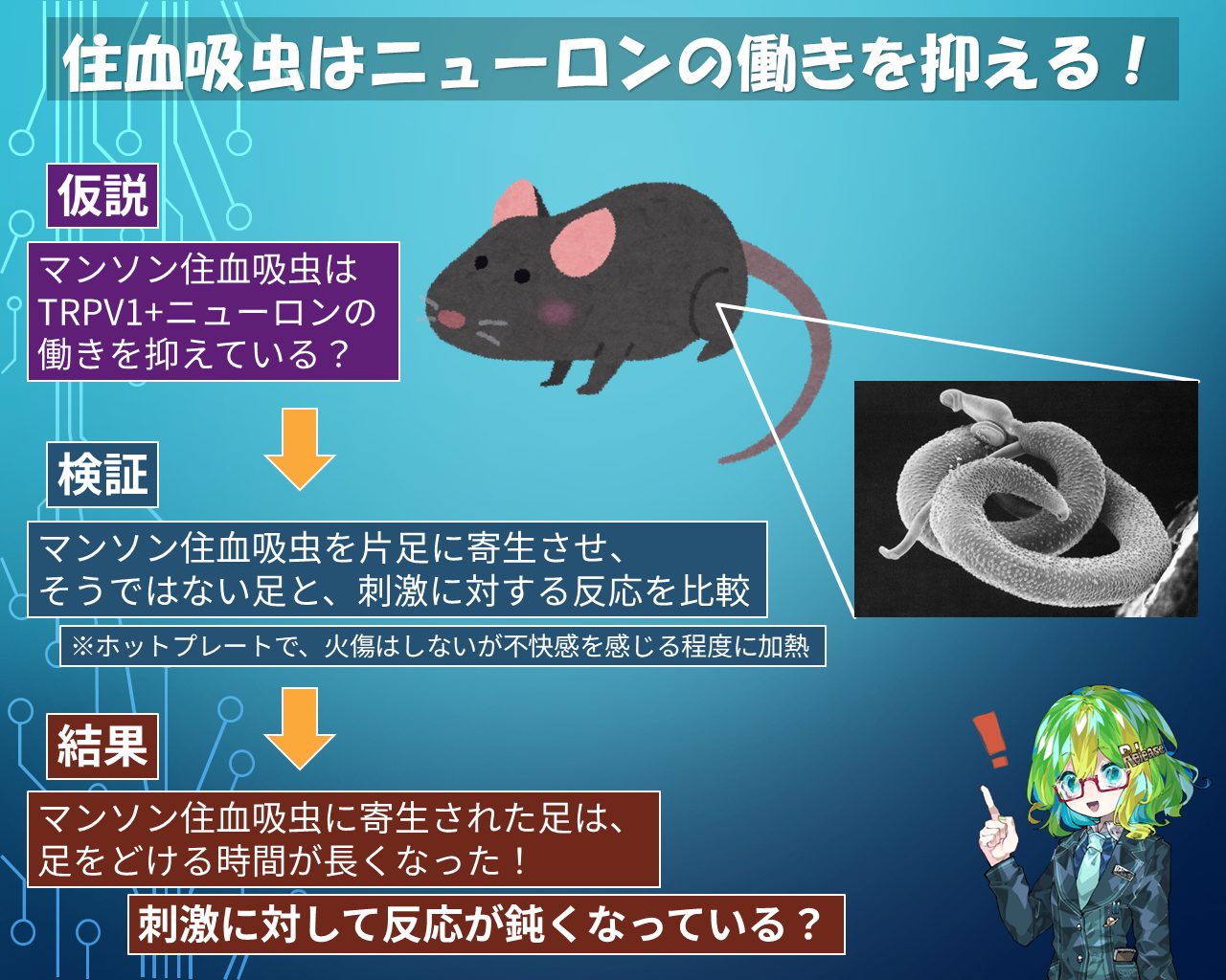 ガンは伝染する! : 恐るべき寄生虫症の真相 Amazon.co.jp: ガンは伝染する: 恐るべき寄生虫症の真相 : 笹川