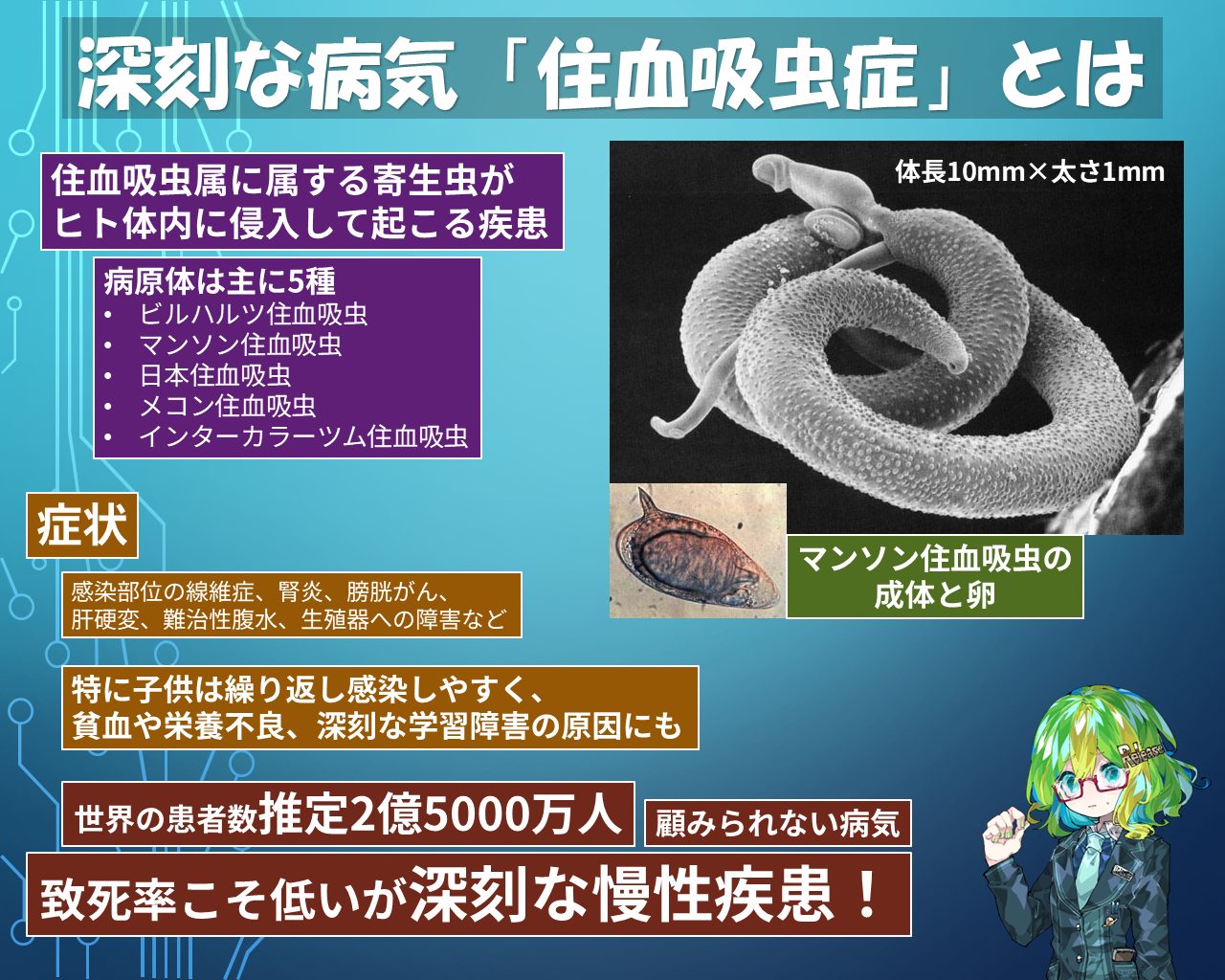 家畜寄生虫病学 最新 獣医寄生虫学・寄生虫病学 (KS農学専門書) | 石井 俊雄