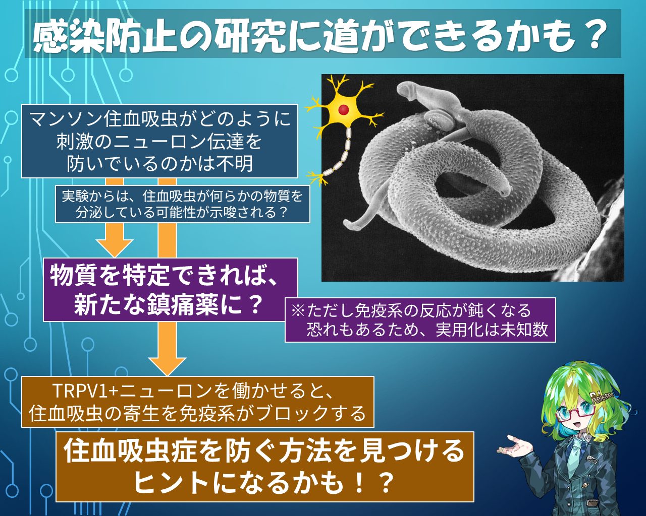 ガンは伝染する! : 恐るべき寄生虫症の真相 ガンは伝染する! : 恐るべき寄生虫症の真相(笹川英資 著) / るび