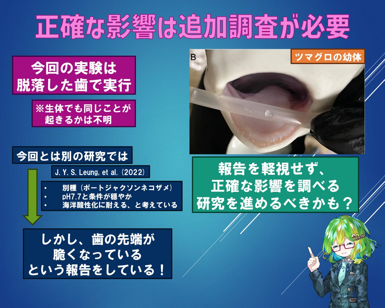 サメの歯　海岸で拾った　貝類や石灰質の付着物があります サメの歯 海岸で拾った 貝類や石灰質の付着物があります Amazon.