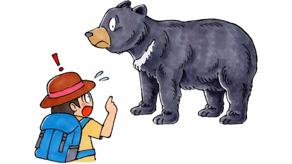 KOSEN ツキノワグマ KOSEN ツキノワグマ ツキノワグマ | 動物図鑑 | ZFC.jp