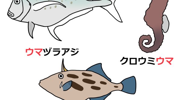 ウシマンボウ博士の研究ノート 【Lab BRAINS】－アズワン